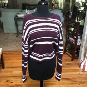 Pacsun Cropped Sweater